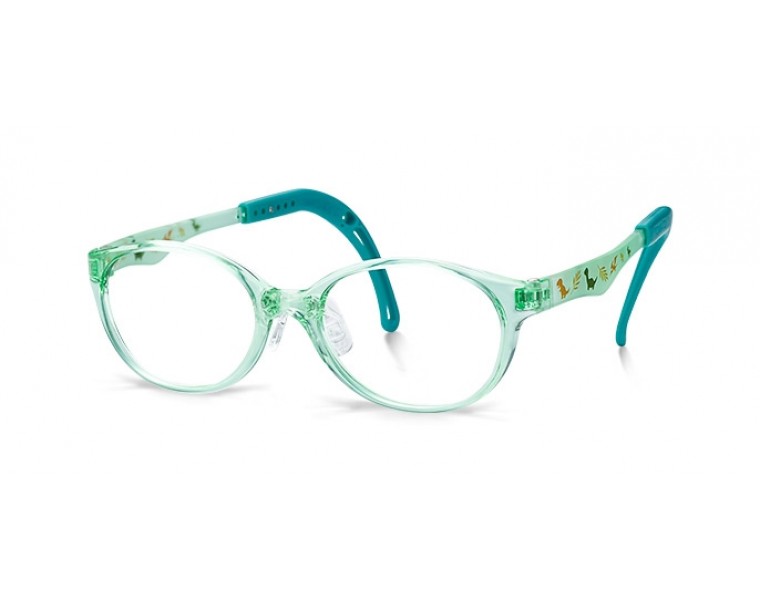 New! TKFC1 Dino Dreams